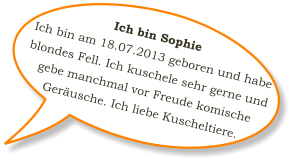 Ich bin Sophie  Ich bin am 18.07.2013 geboren und habe blondes Fell. Ich kuschele sehr gerne und gebe manchmal vor Freude komische Geräusche. Ich liebe Kuscheltiere.