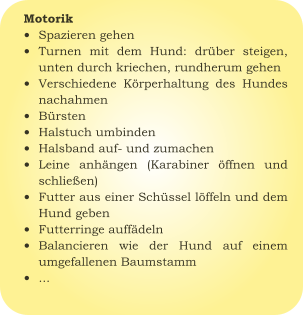 Motorik •	Spazieren gehen •	Turnen mit dem Hund: drüber steigen, unten durch kriechen, rundherum gehen •	Verschiedene Körperhaltung des Hundes nachahmen •	Bürsten •	Halstuch umbinden •	Halsband auf- und zumachen •	Leine anhängen (Karabiner öffnen und schließen) •	Futter aus einer Schüssel löffeln und dem Hund geben •	Futterringe auffädeln •	Balancieren wie der Hund auf einem umgefallenen Baumstamm •	...