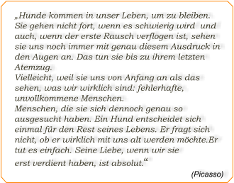 „Hunde kommen in unser Leben, um zu bleiben. Sie gehen nicht fort, wenn es schwierig wird  und auch, wenn der erste Rausch verflogen ist, sehen sie uns noch immer mit genau diesem Ausdruck in den Augen an. Das tun sie bis zu ihrem letzten Atemzug. Vielleicht, weil sie uns von Anfang an als das sehen, was wir wirklich sind: fehlerhafte, unvollkommene Menschen. Menschen, die sie sich dennoch genau so ausgesucht haben. Ein Hund entscheidet sich einmal für den Rest seines Lebens. Er fragt sich nicht, ob er wirklich mit uns alt werden möchte.Er tut es einfach. Seine Liebe, wenn wir sie erst verdient haben, ist absolut.“ (Picasso)